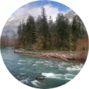 Olympic National Park Wallpaper New Tab icon