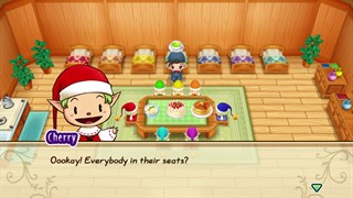 STORY OF SEASONS: Friends of Mineral Town - Windows Edition screenshot 5