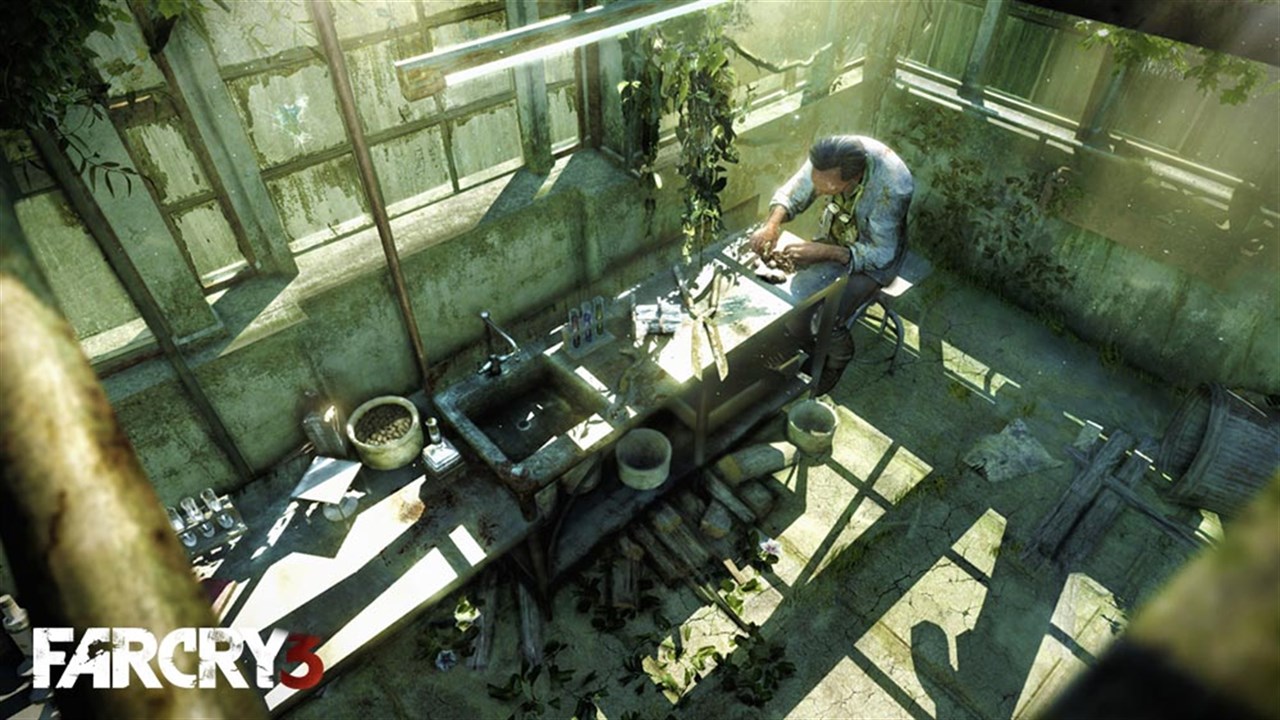 Far Cry 3 screenshot 9