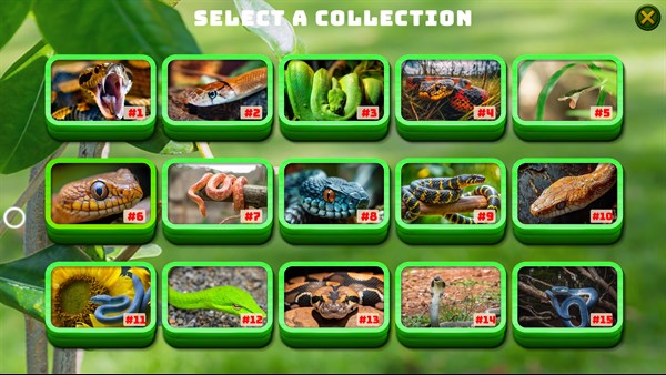Snake Jigsaw Puzzle for PC — 13