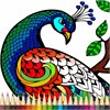 Animals Coloring Book Pages - Adult Coloring Book