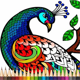 Animals Coloring Book Pages - Adult Coloring Book