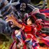 ONE PIECE 海賊無双4 Ultimate Edition （Xbox Series X|S & Xbox One）