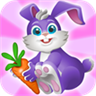 Funny Bunny Adventures: Fairy Tale