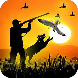 New Birds Hunting Games PRO