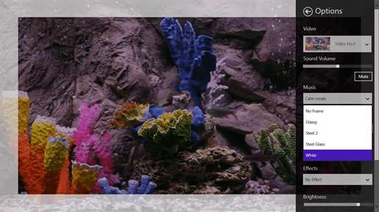 Real coral aquarium HD screenshot 3