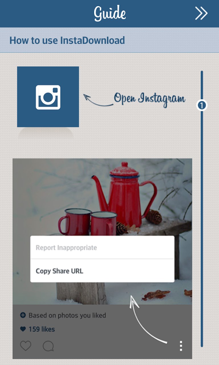 Insta Download Pro for Windows 10 Mobile