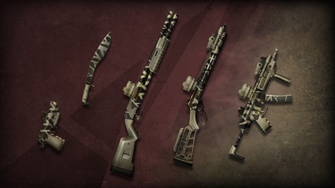 World War Z: Aftermath - Desert Defenders Weapons Pack