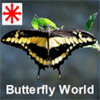 Butterfly World