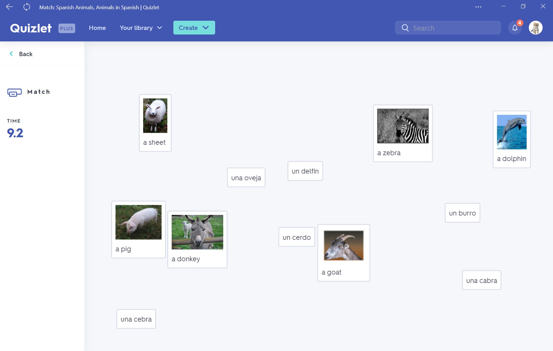 Get Quizlet Microsoft Store