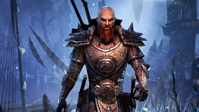 The Elder Scrolls Online: Tamriel Unlimited — скриншот 5