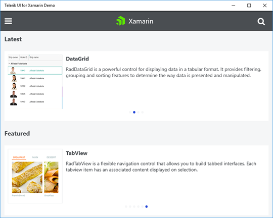 Telerik UI for Xamarin Demo screenshot 7
