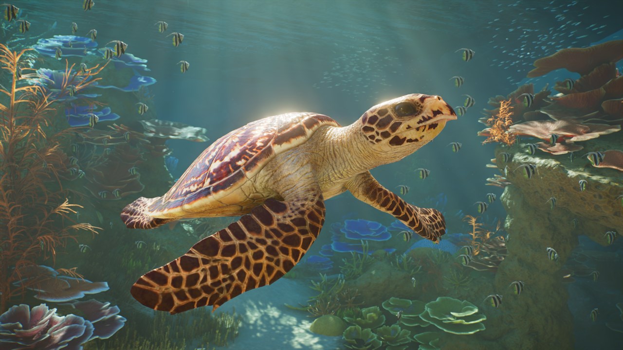 Planet Zoo 2 screenshot 4
