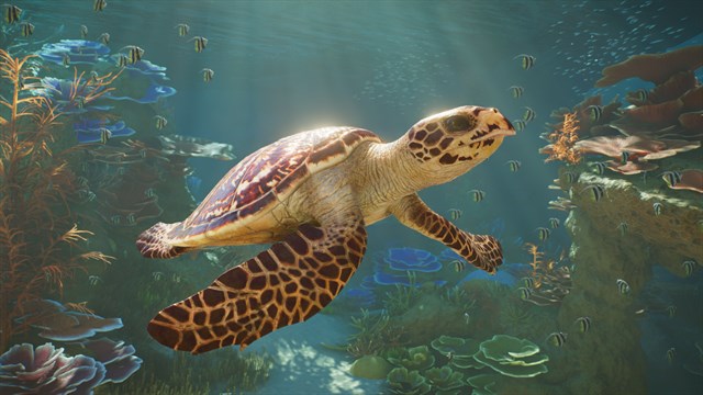 Planet Zoo 2 screenshot 4