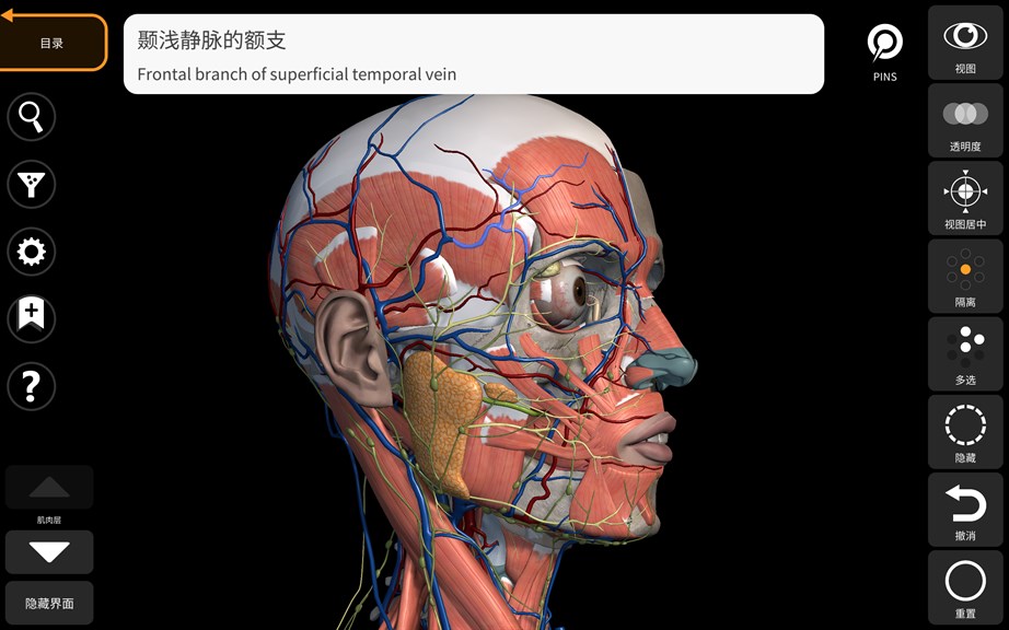 解剖学- 三维图谱- Anatomy 3D Atlas - Microsoft Apps