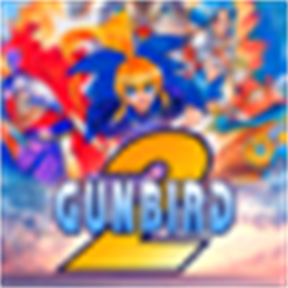 Aperçu GUNBIRD 2