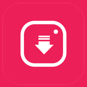 Instagram Video Downloader