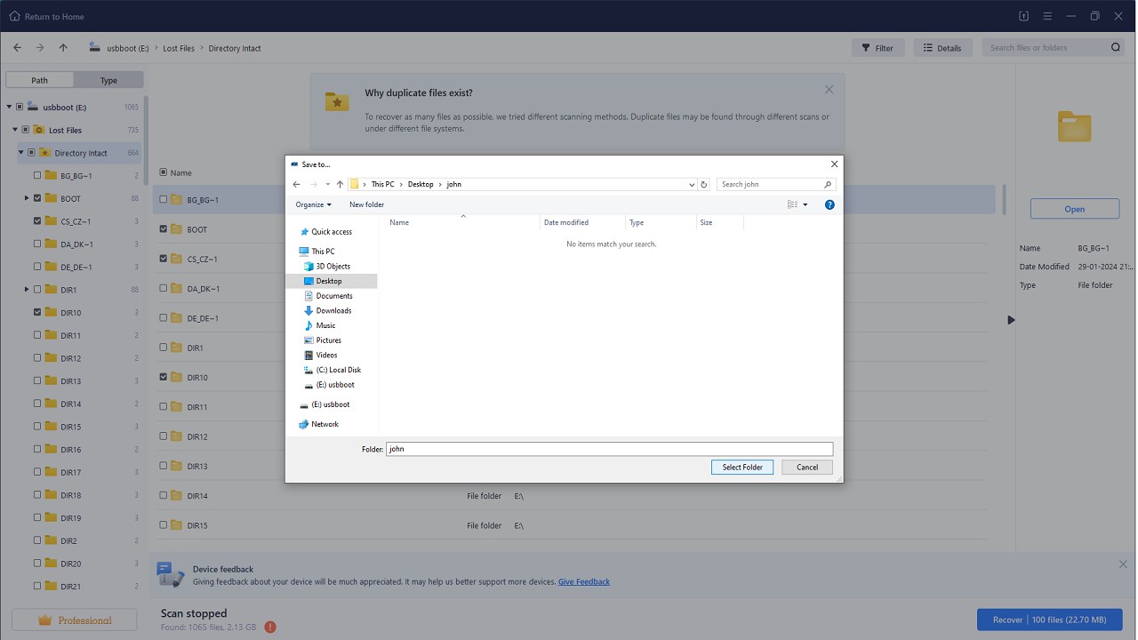 Snapshot 4 of BLR Data File Recovery Software Tool