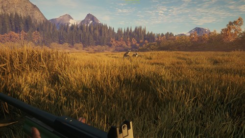 theHunter: Call of the Wild™ - Hunter Power Pack