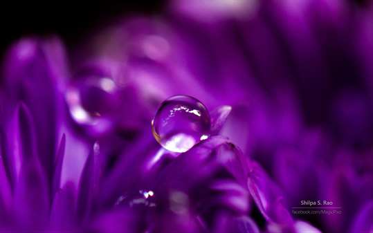 Liquid Jewels by Shilpa S Rao screenshot 3