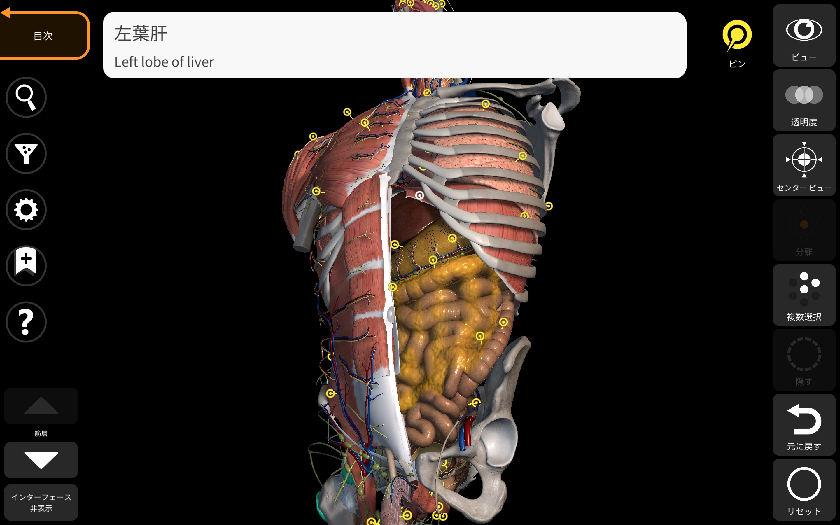 解剖学 - 3Dアトラス - Anatomy 3D Atlas - Microsoft Apps