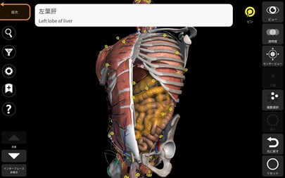 MRI断層解剖アトラス : 3Dで見る骨と筋 : 3D Anatomy Pro… MRI断層解剖アトラス 第2版〈3Dで見る骨と筋〉CD-ROM付 (3D