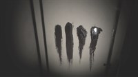 screenshot1