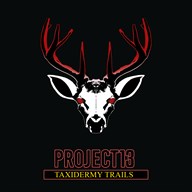 Project 13: Taxidermy