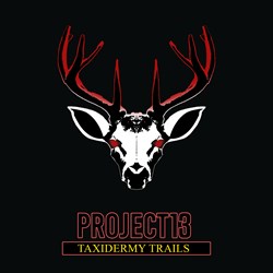 Project 13: Taxidermy