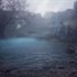 Drizzlepath: Picturae