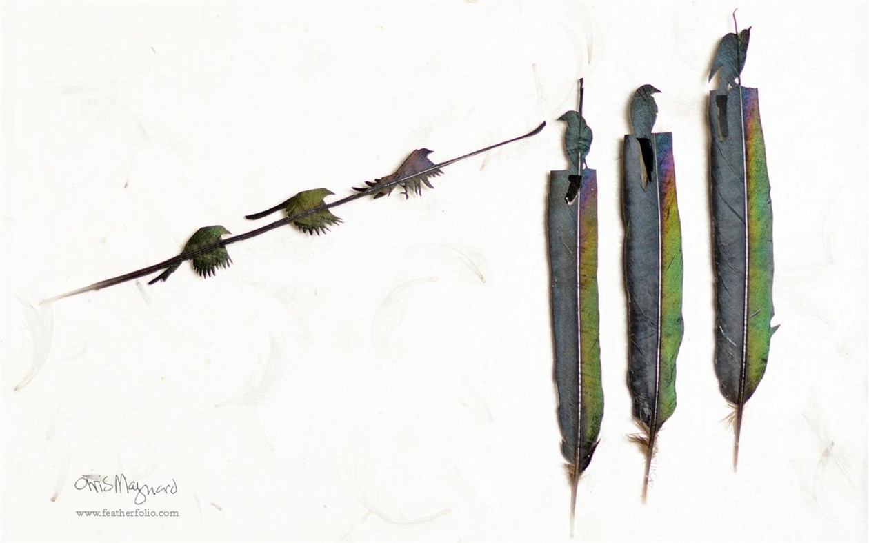 #4. Shadowboxes 2 by Chris Maynard (Windows) Podle: Microsoft Corporation