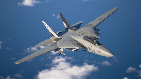 ACE COMBAT 8 - F-14A