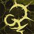 Chorus Of Carcosa
