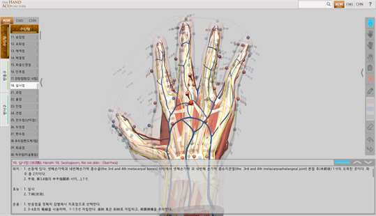 Hand Acupuncture screenshot 3