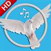 Bird Sounds & Ringtones for Kids & Adults