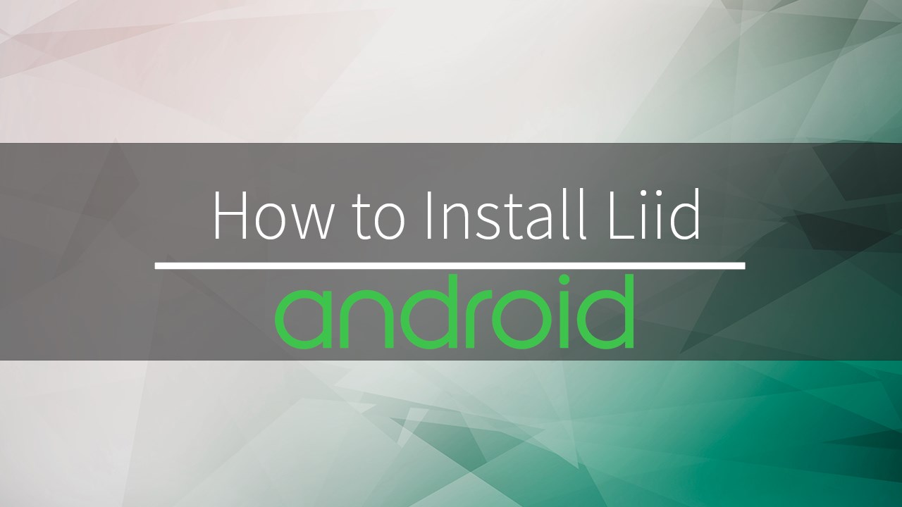 Snapshot 2 of LiiD for Dynamics CRM