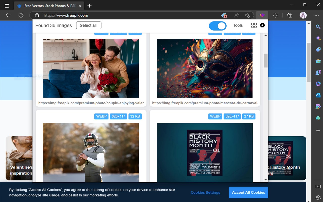 Image Downloader: Easy, Quick and High-Quality Downloads