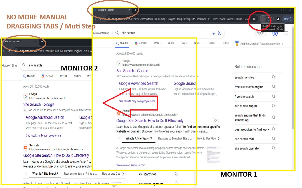 Dual Monitor Incognito