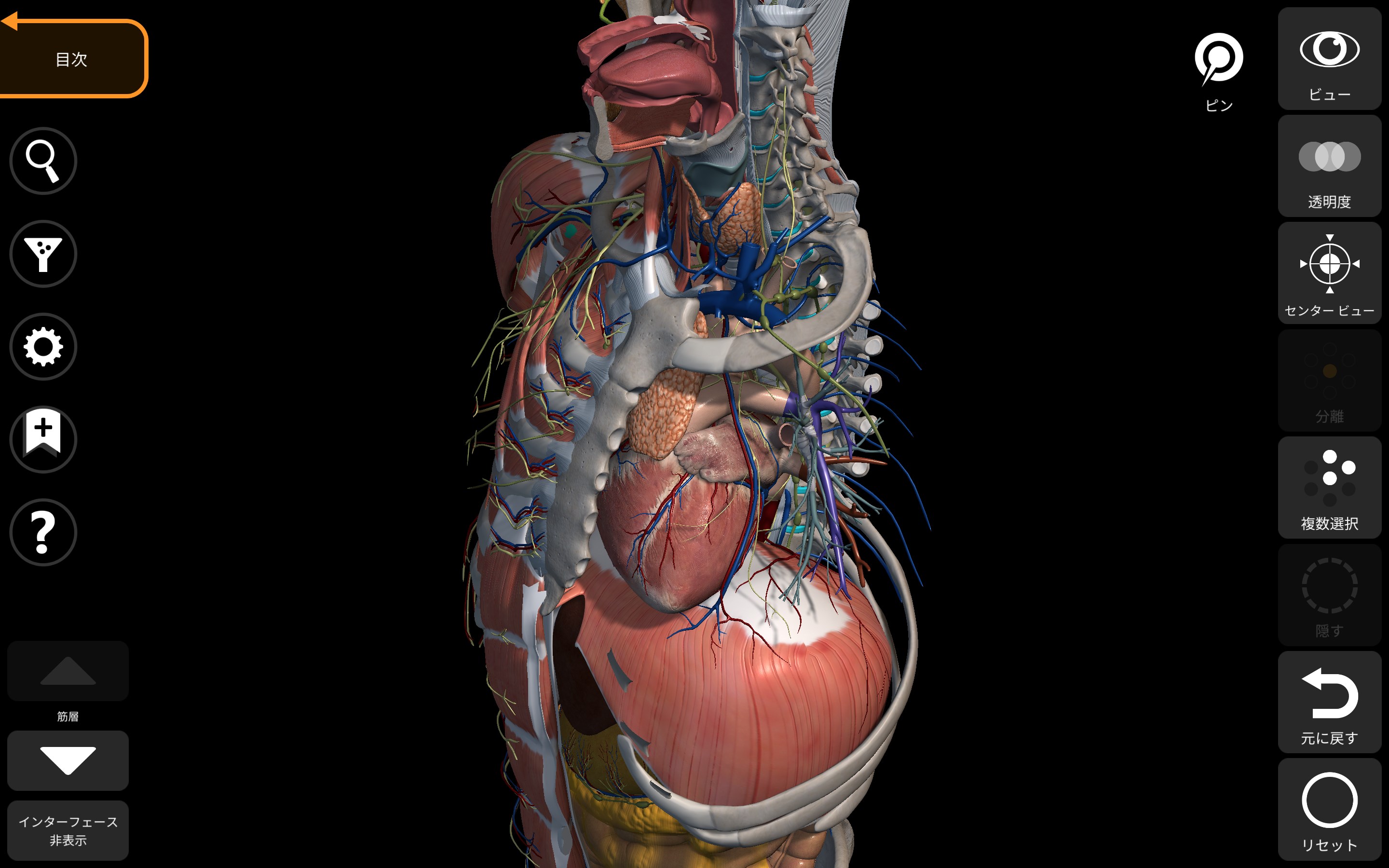 解剖学 - 3Dアトラス - Anatomy 3D Atlas - Windows に無料でダウンロードしてインストールする | Microsoft  Store