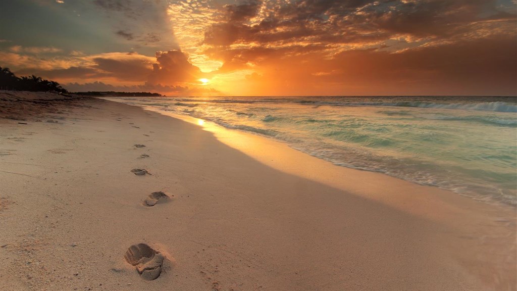 Sun and Sand PREMIUM_1