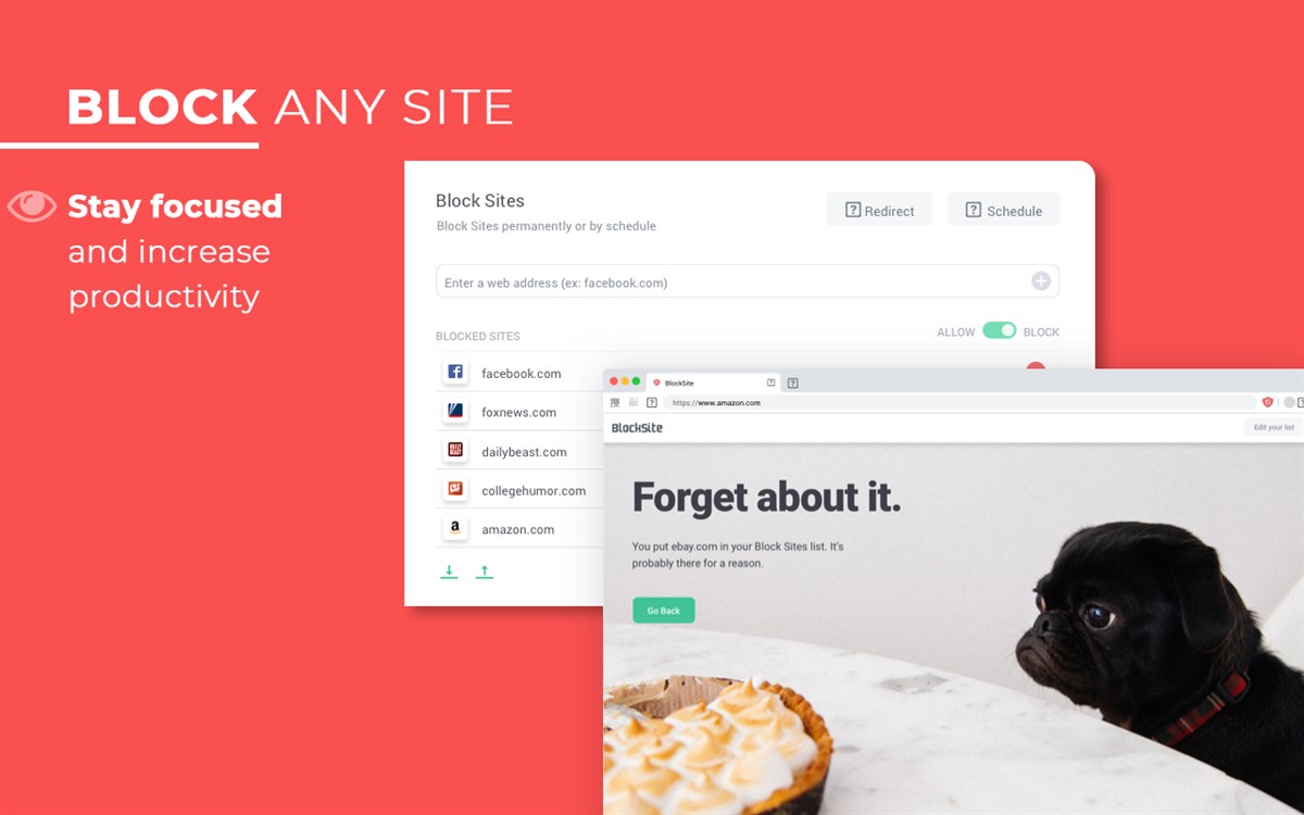 BlockSite Block Websites & Stay Focused