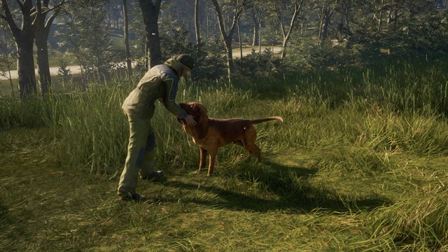 theHunter: Call of the Wild - Hunting Starter Pack screenshot 1