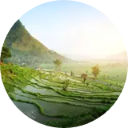 Ubud Wallpaper New Tab icon