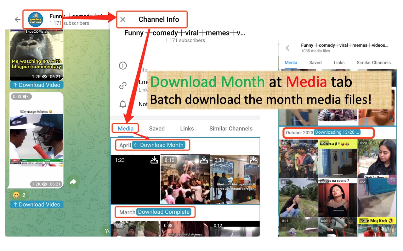 Telegram Video Downloader - TVD