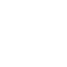 SAS Visual Analytics App