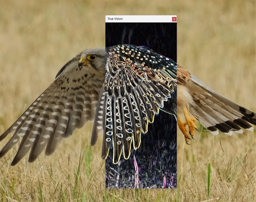 #8. True Vision (Windows) By: Zunna Berry