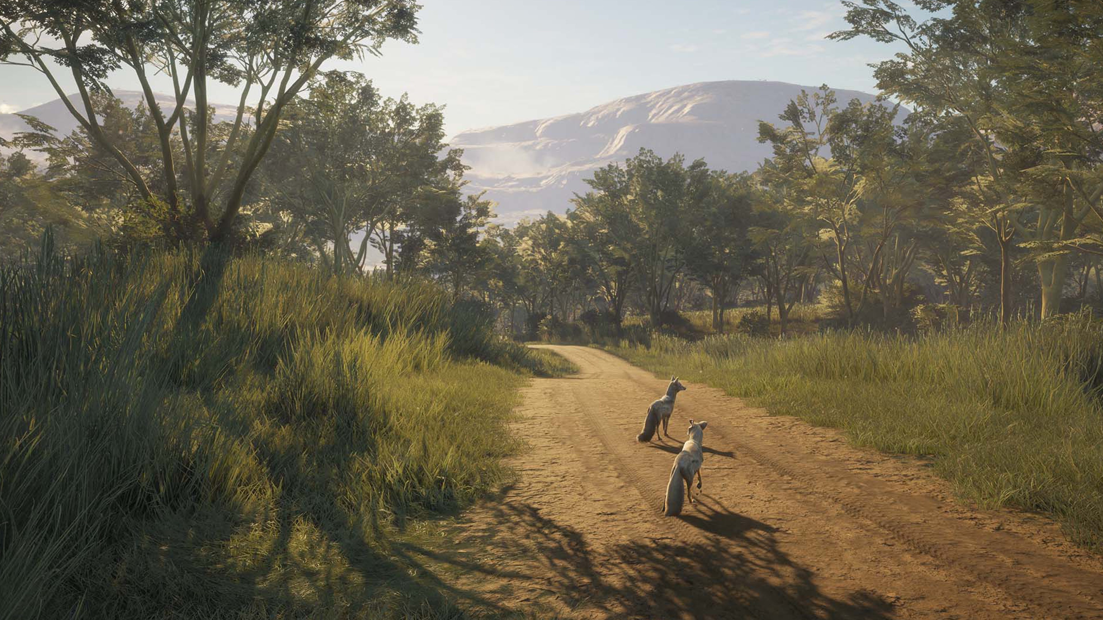 theHunter: Call of the Wild™ - Vurhonga Savanna - Windows 10 | Xbox | Chiave | Privato