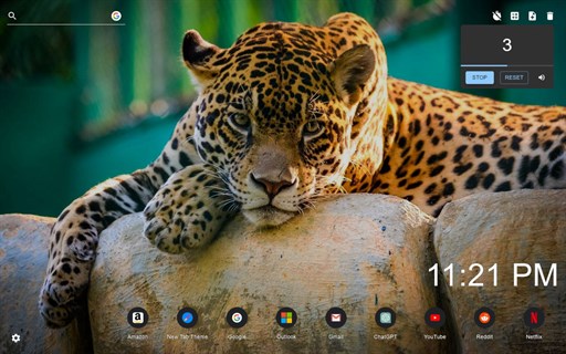 Leopard Wallpaper New Tab - Edge Add-on