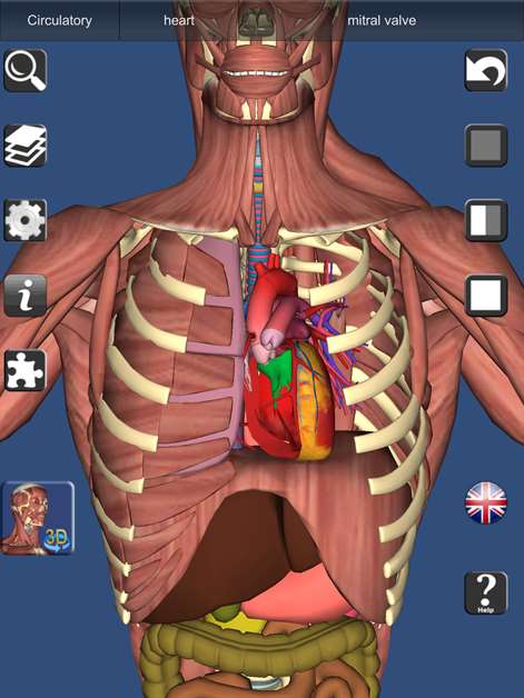 3D Bones and Organs (Anatomy) Screenshots 2