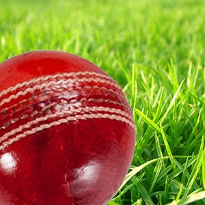 CricketScores